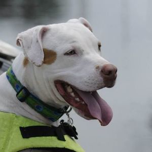 Meet your Posher, Kelly